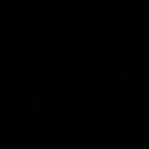 Meet your Posher, Maddy